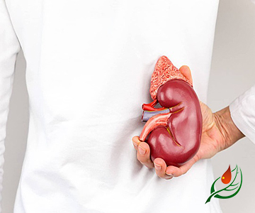 Диабетическая нефропатия